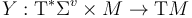 Y:{{\rm {T}}}^{*}\Sigma ^{v}\times M\to {{\rm {T}}}M